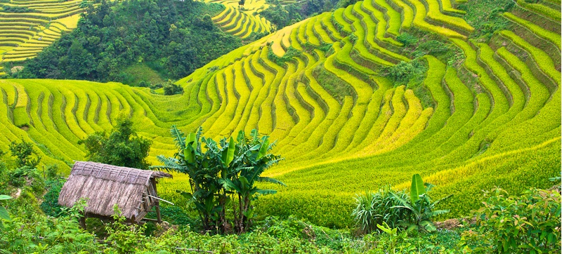 Indochina Tour: Vietnam, Cambodia, Laos and Myanmar tours