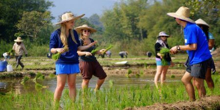 Chiang-Mai