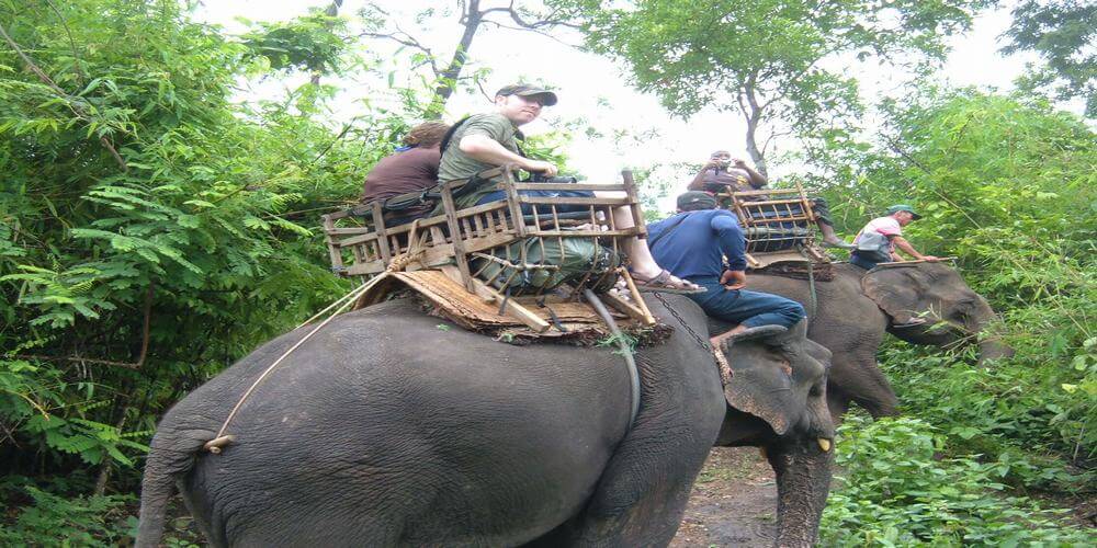 Elephant_ride