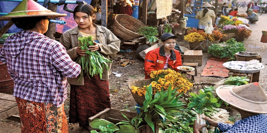 Taste the best foods of Myanamar