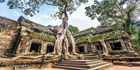 Angkor wat complex