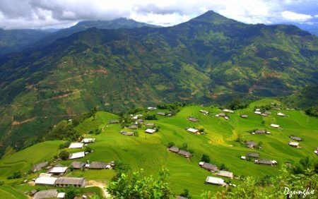 Vietnam-Scenic-Rice-field-Sapa
