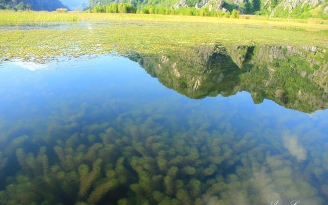 beauty of Van Long Lagoon