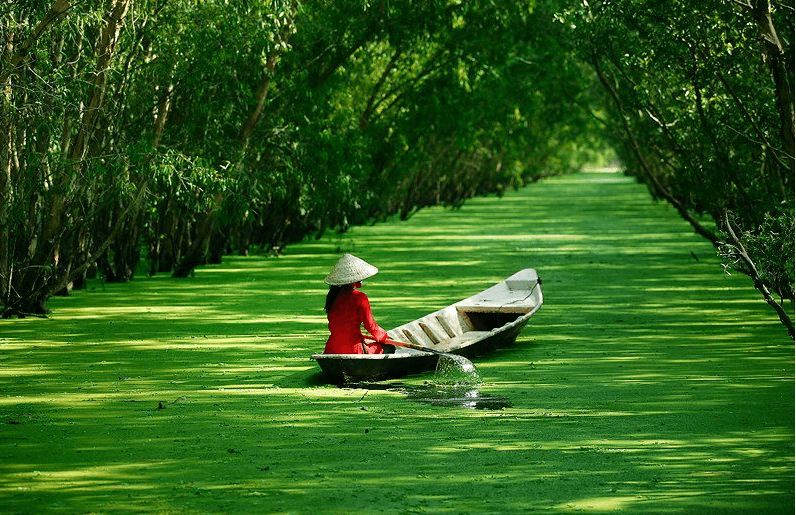 Discovery Mekong Delta by boat